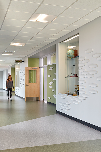 Decorative walls and glass display cases line the corridors that lead to labs.