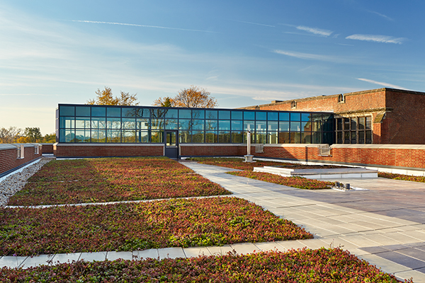 A rooftop garden reduces energy costs and supports the science curriculum.