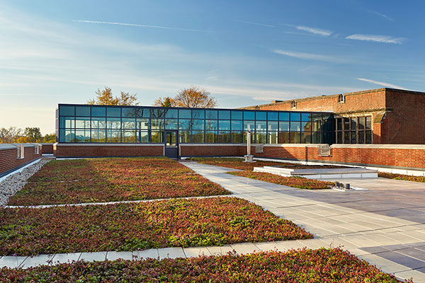 Students manage gardens on the green roof at Glenbard West High School.