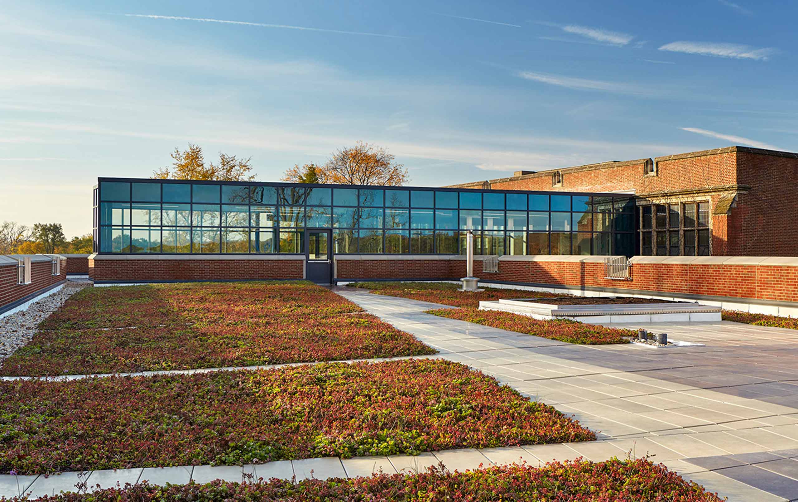 Glenbard West High School green roof