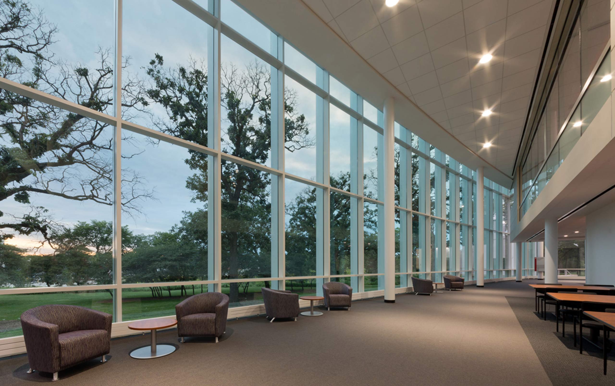 College corridor with tall windows displaying trees