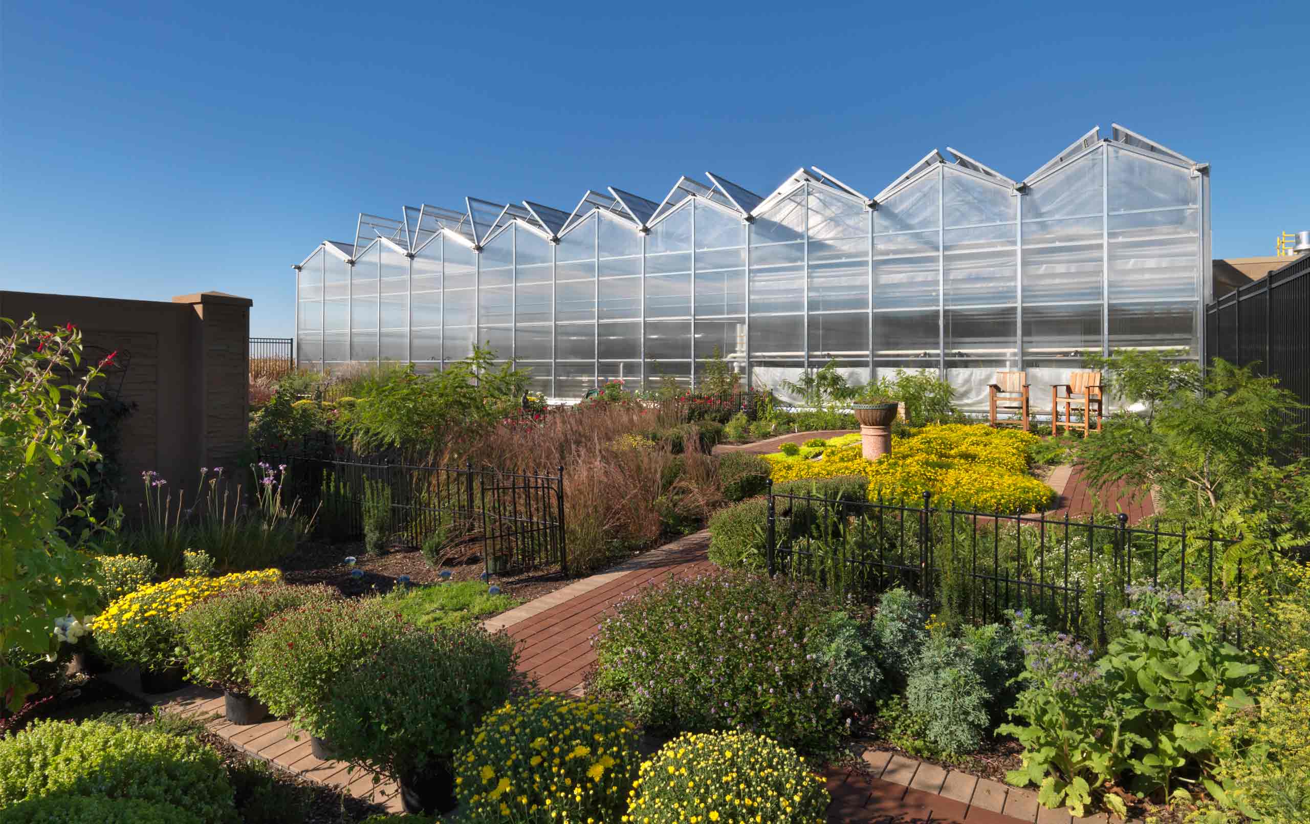 Greenhouse Facility Featured