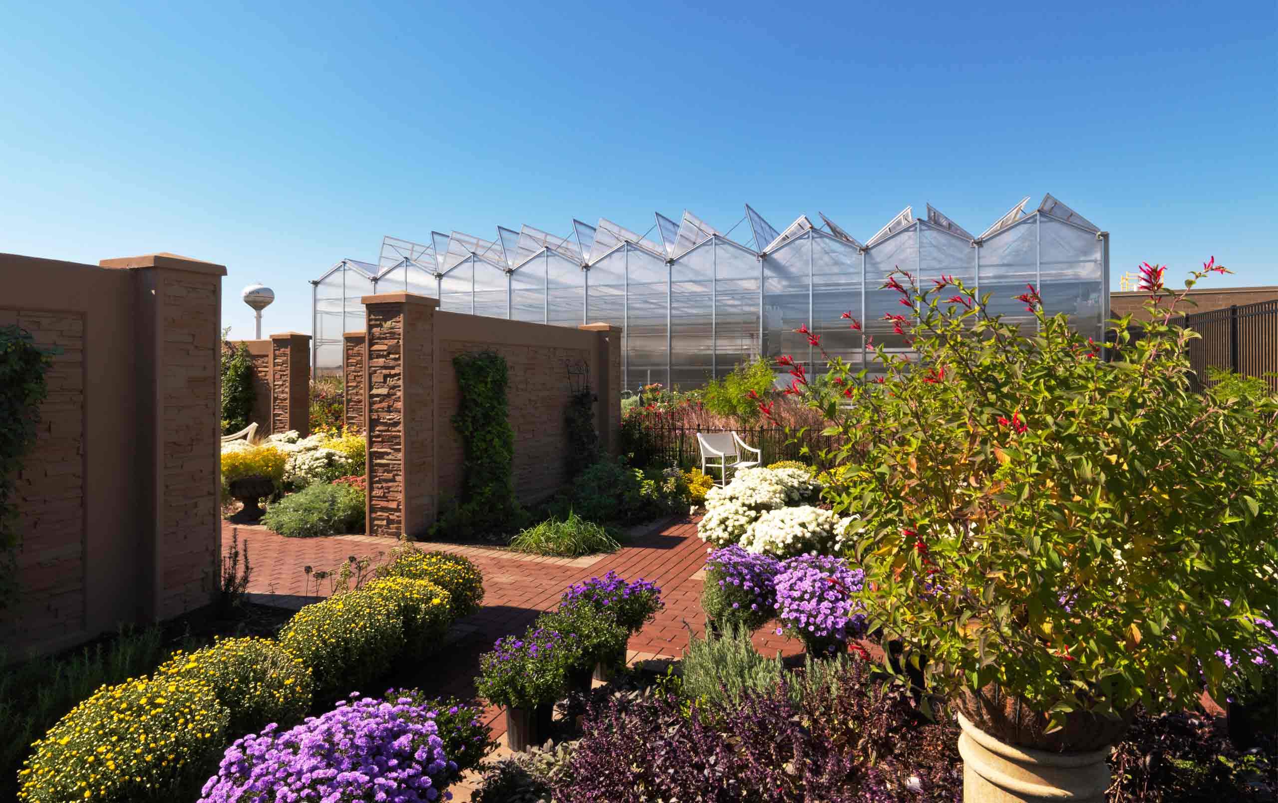 Garden at Joliet Junior College Greenhouse Facility