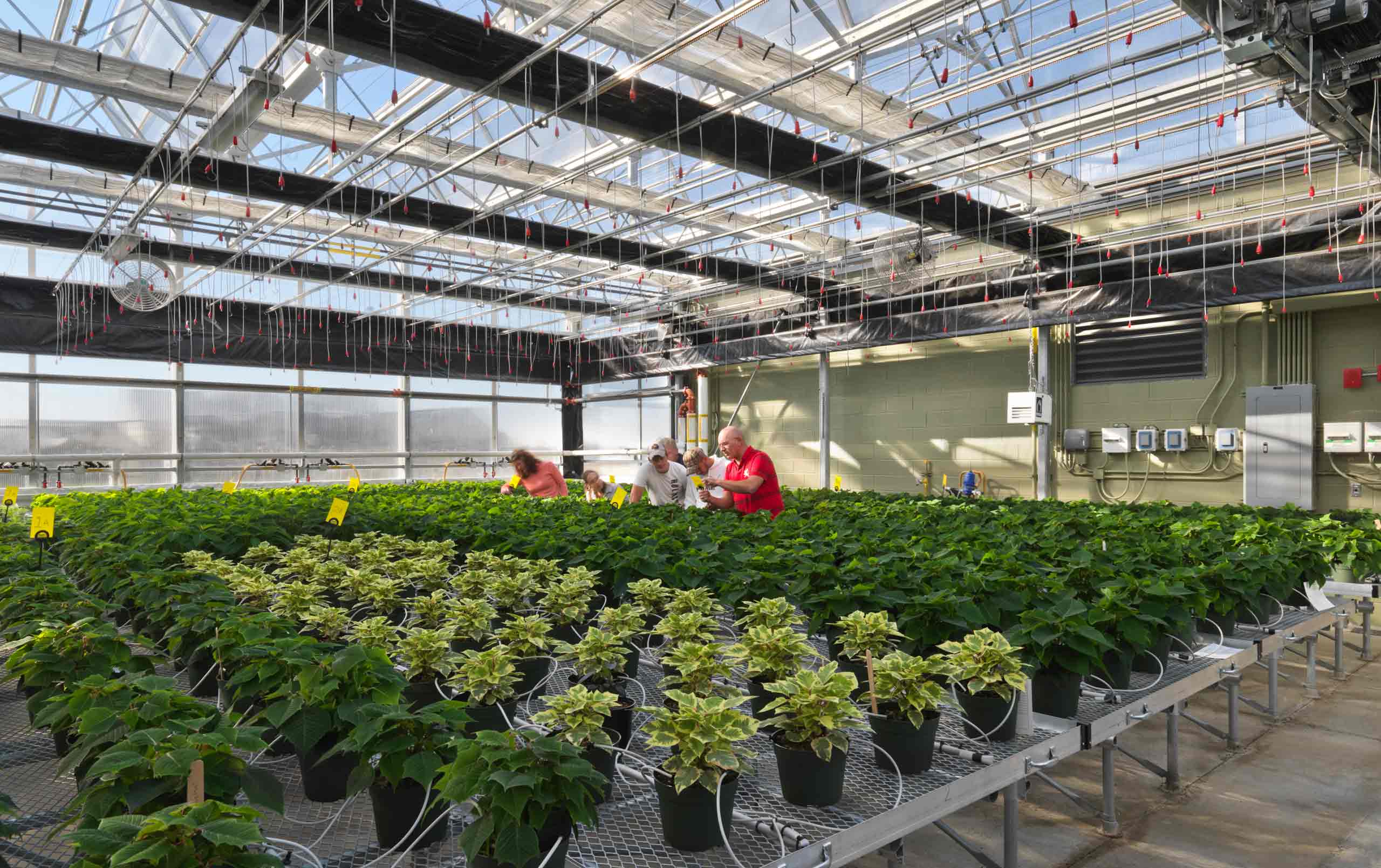 Students and teacher in greenhouse at Joliet Junior College