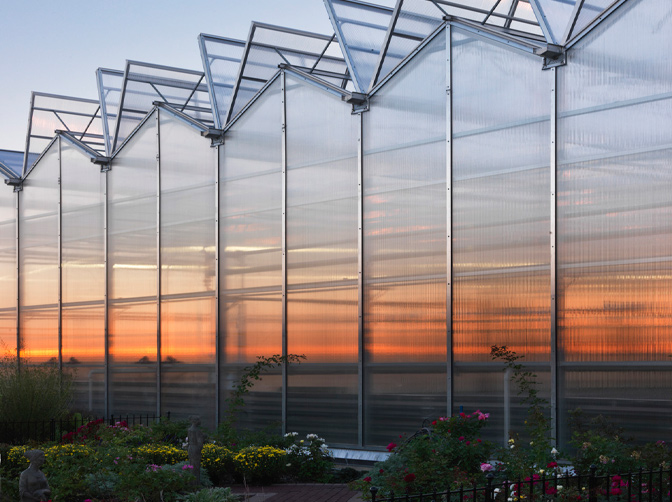 Greenhouse facade at dusk