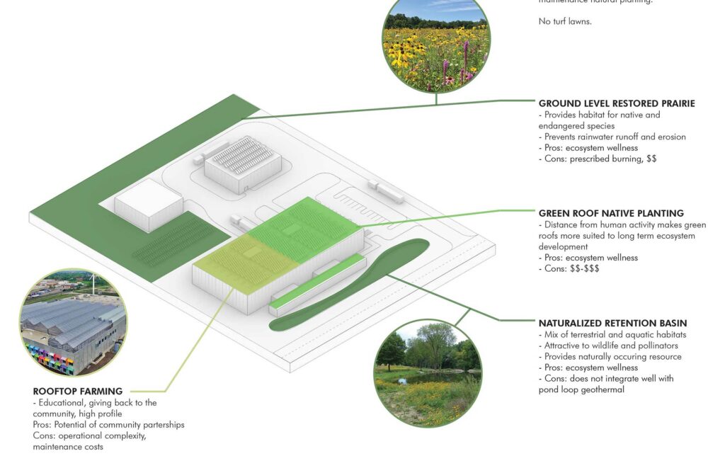 Green roof options for net-zero manufacturing facility