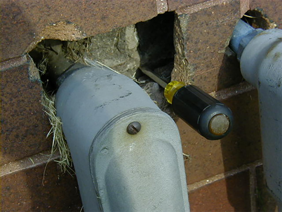 Birds nest embedded in brick wall