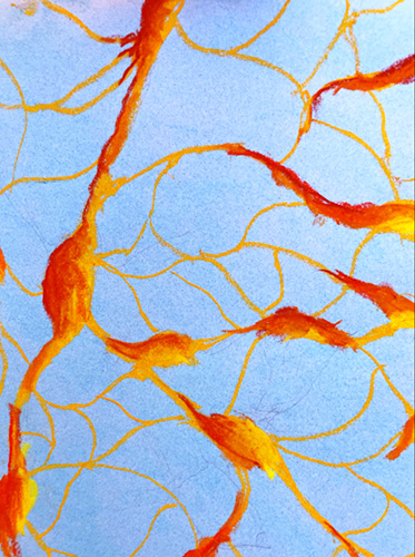 Honorable Mentions sketch 2