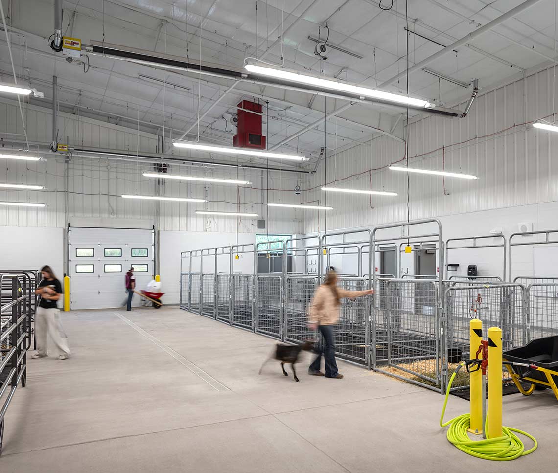 high school students working with animals in agriculture lab