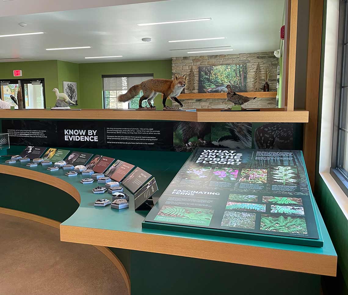 Natural visitor center forest floor exhibit