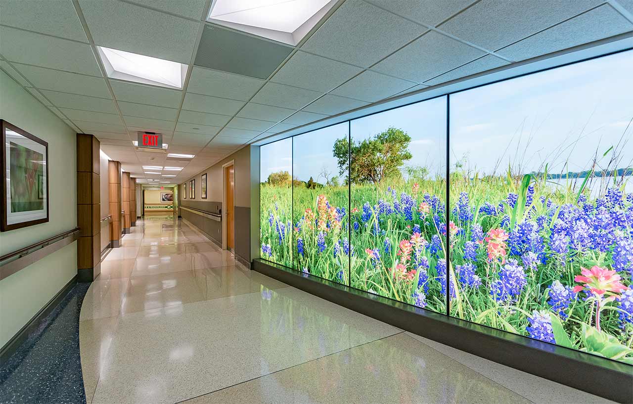 Hospital corridor with bright wall showing natural setting