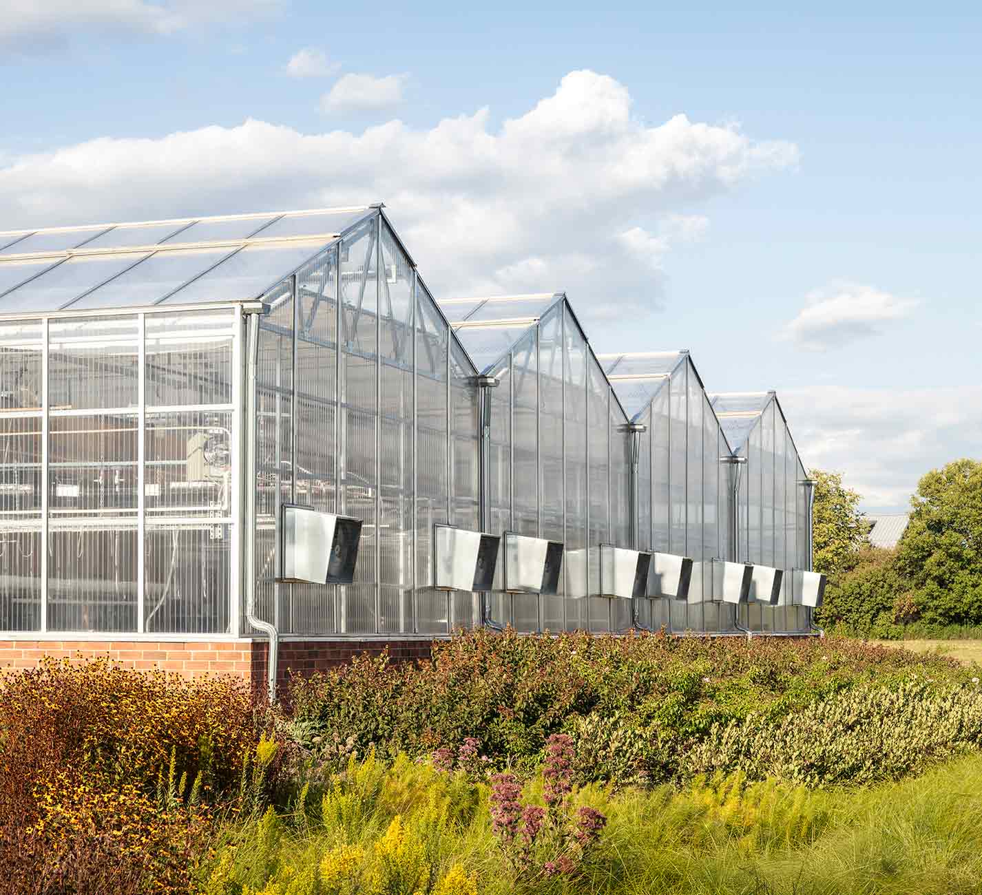 Greenhouses with blue sky and vegetation 