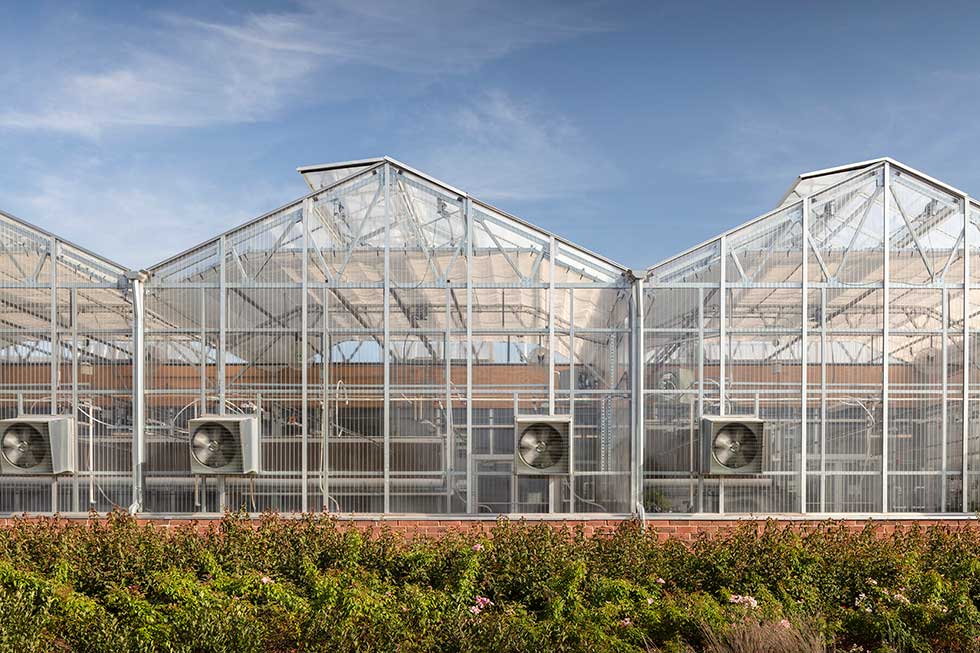 Exterior view of three greenhouses with landscaping in foreground