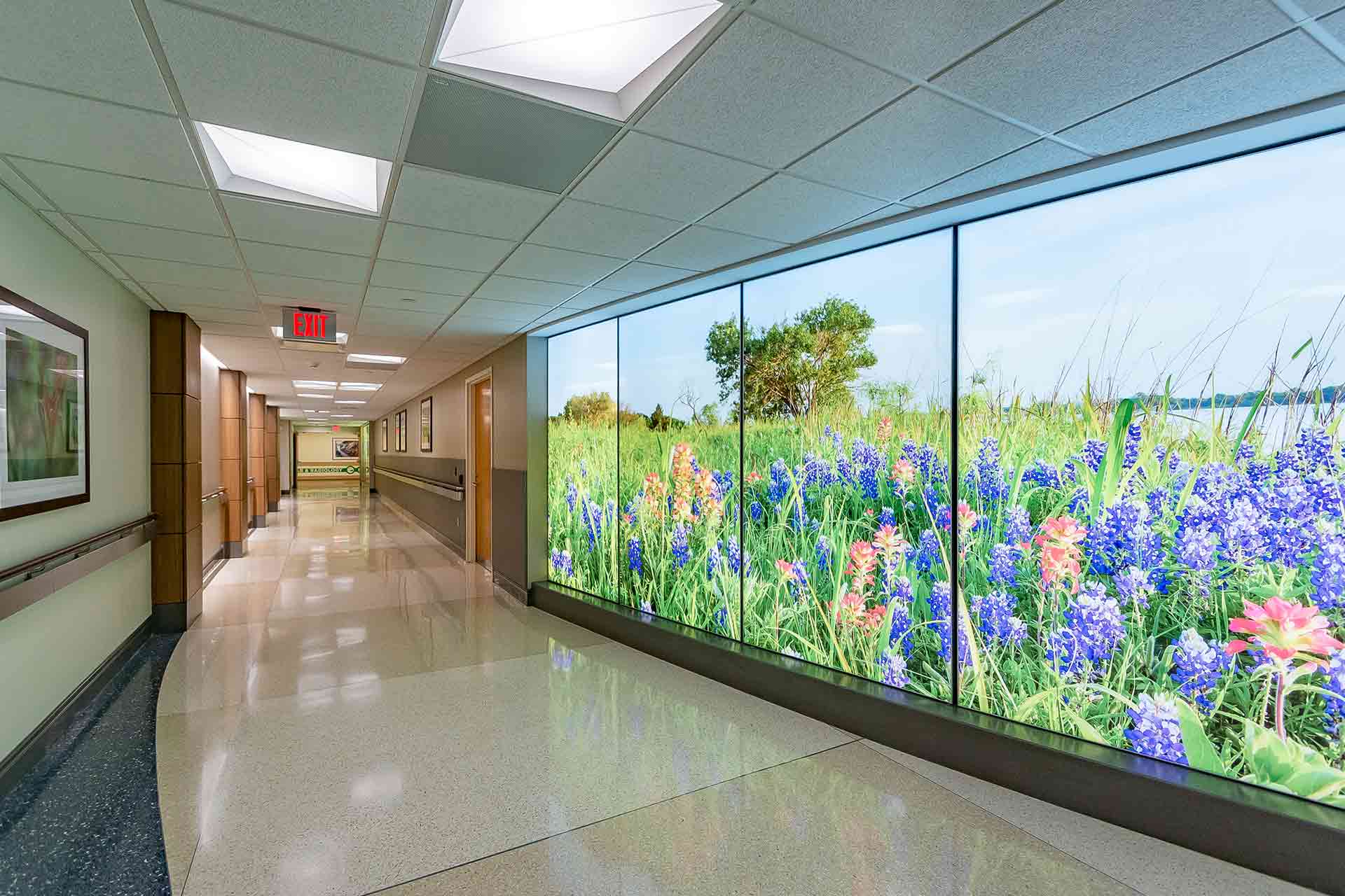 Hospital hallway with a large illuminated wildflower mural, polished floors, and a calm, welcoming atmosphere.